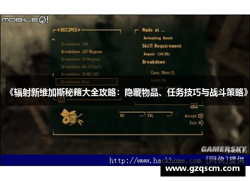 《辐射新维加斯秘籍大全攻略：隐藏物品、任务技巧与战斗策略》