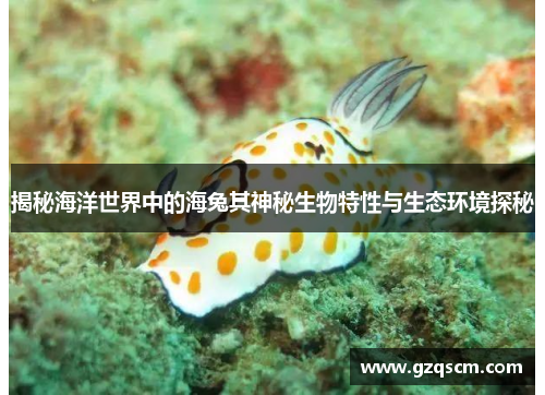 揭秘海洋世界中的海兔其神秘生物特性与生态环境探秘